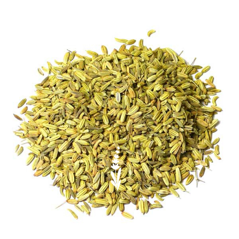 Fenchel grün süß ganz, BIO